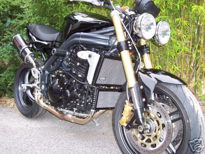 speed triple radiator guard