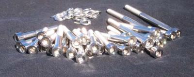 Chrome Engine Cover Fastener Kit for the Triumph America and Speedmaster